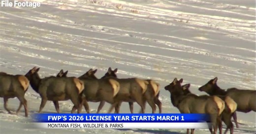 Montana's new hunting and fishing rules start March 1