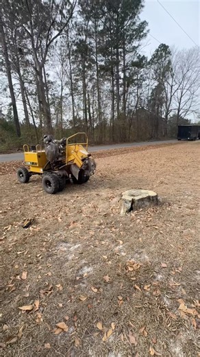 SUPER BOWL HANGOVER 🏈