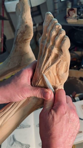 Écorché: Extensor Digitorum Longus, foot anatomy, study in wood
