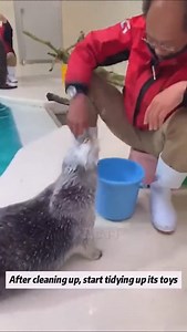 3.8K views · 107 reactions | In my defense, I was left unsupervised | In my defense, I was left unsupervised | Facebook