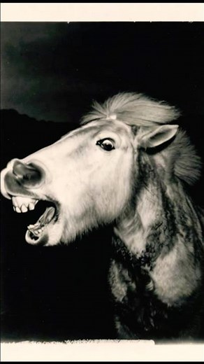 Wild Horse Screaming in the Dark Night 🌙🐎 | Scary Animal Short #HorseShorts #WildHorse #DarkNight