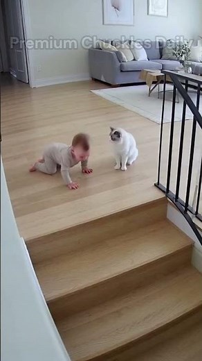 Animals Save Babies in Real Life | Emotional Rescues Caught on Camera 🐶🐱🦅❤️