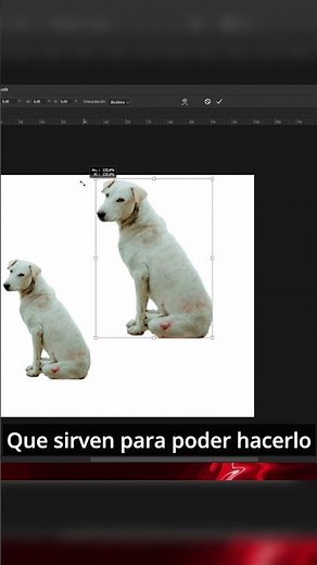 5 Atajos Básicos de Photoshop Que Todo Principiante DEBE Saber