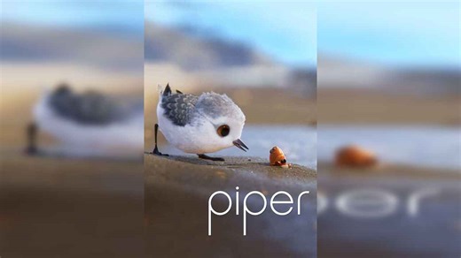 Piper | Release Date, Reviews, Cast, and Where to Watch