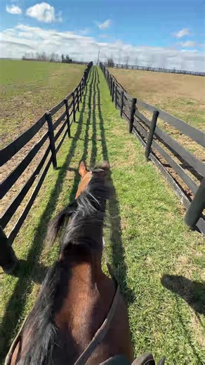 My favorite Monday afternoon activity | Afternoon Routine