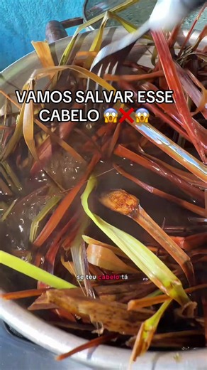 DICAS NATURAIS TÔNICO DE CABELO DICAS DE CABELO O chá de capim-santo (também conhecido como capim-limão) atua como um tônico natural poderoso para a saúde capilar. Seus maiores benefícios incluem a redução da queda, o controle da oleosidade e da caspa, e o estímulo ao crescimento dos fios. #dicas #dicasdebeleza #c #cabelos