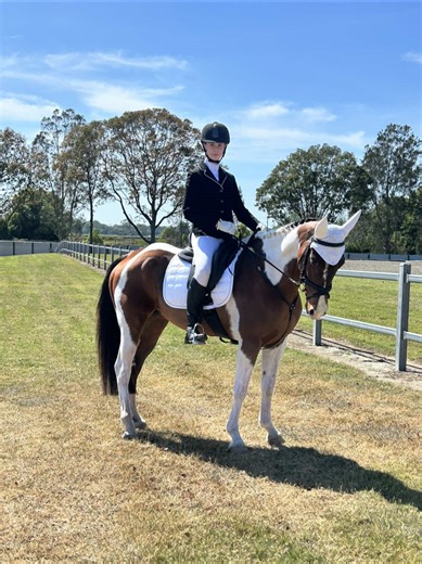 Valley Equestrian Club - Kempsey Championships 2025 #dressage #equestrian #horse #compertition #win