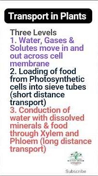 Transport in Plants | Three Levels of Transport in Plants | Plant Physiology