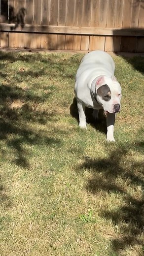 She’s waiting on her next victim! Lol | Brian Hunt