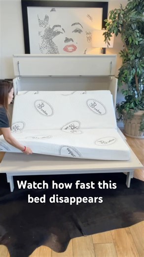 This Cabinet Bed Has a Secret 👀 Hidden Bed Inside | Space Saving Furniture