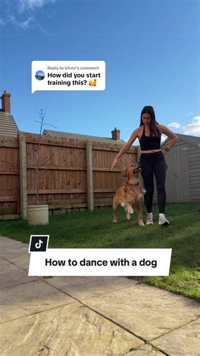Fun Dog Dance Moves for Training Your Golden Retriever