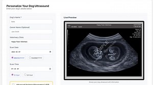 Cat Scan Generator • Custom Cat Ultrasound Art • Funny Pet Pregnancy Prank Digital Download - Etsy Canada