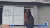 Naked L.A. neighbor accused of indecent exposure in front of uncovered windows