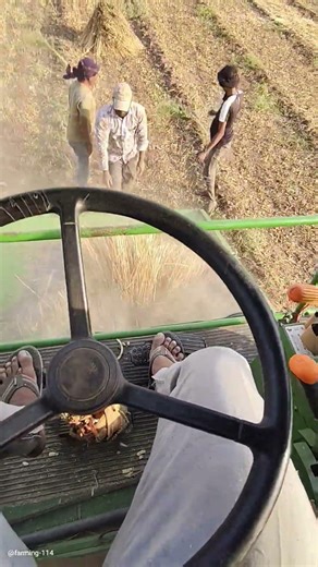 John Deere w70 combine તલ માં આજે 🌾🌾#farming #farmmachinery #harvester #ખેડૂત