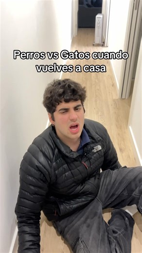 Dogs vs Cats when you get home 🏠🐱