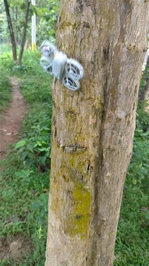 DJI Neo Drone Crash Test | Hitting a Tree Front & Flight Impact #djineo #dronetest