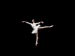 Johann Strauss ll - The blue Danube Waltz