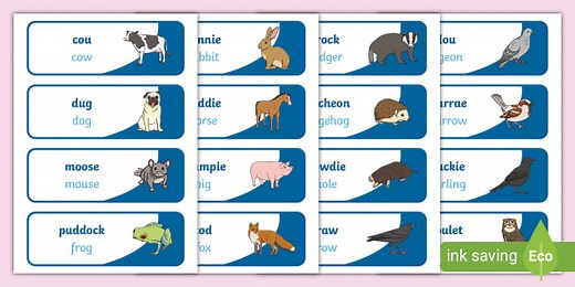 Scots Animal Word Cards