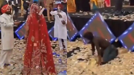 A big fat Punjabi wedding: Bride and groom showered in Rs 8.5 crore cash, Internet reacts to viral video