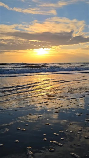 Good morning. Thank you for another morning ❤️🤗 Ready for more coffee ☕️ #Firstlightinsite #Sunrise #NewDay #Beach | First Light InSite