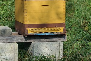 Hive Stands for Beekeeping - BeeKeepClub