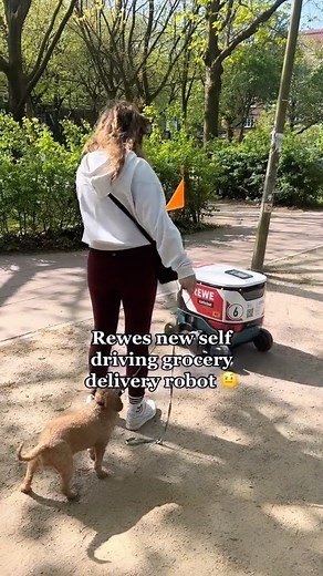 hannah teslin ⚓️ | 2023 in Germany, still need cash but we have ✨self driving grocery delivery robots✨ (who should learn how to climb stairs😪) @gocartken... | Instagram