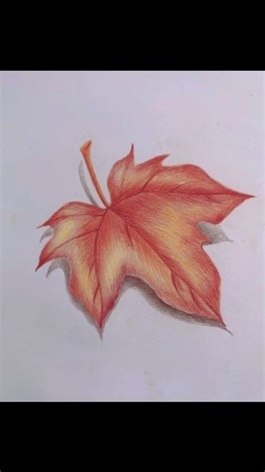 32 reactions · 21 shares | "How to Draw a Stunning Maple Leaf  | Kids Coloring Fun with Pencils!" #MapleLeafArt #KidsColoring #DrawingFun #ArtForKids #CreativeKids #PencilArt #ColoringActivity #LearnToDraw #ArtInspiration #FamilyFun #fbviralreelsfypシ゚viral #highlightseveryone | Kamran Laskar | Facebook