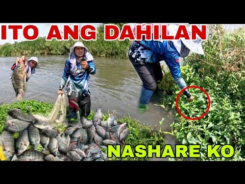 ito ang dahilan📌 TIRAHAN NG MAKAPAL NA ISDA AT MAY SUMOLPOT NA GULAY