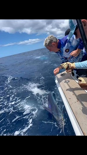 Clinton Wade Hicks on Reels