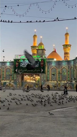 Sukoon-e-Qalb: Roza-e-Imam Hussain (A.S) | Karbala Live View