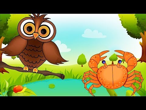 The Golden Crab and The Clever Owl | Jungle Stories for Children