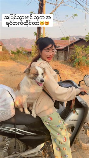 #တောင်ကြီးမြို့အေးသာယာ #foryou #ခွေးချစ်သူများ #ခွေးချစ်သူများအတွက် #fyp