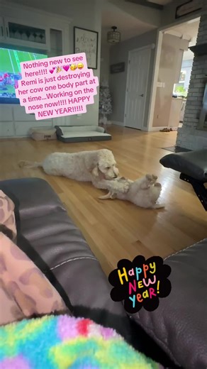 Doodle Art Destruction: New Year Fun with Remi