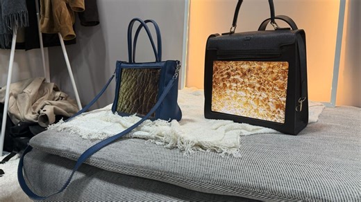 CES 2026: Would you spend $9K on this OLED smart purse?