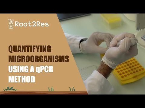 Quantifying microorganisms using a qPCR method