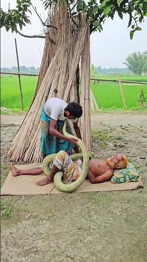 Best Reaction! King Cobra Fake Snake Scary Prank on Grandpa!