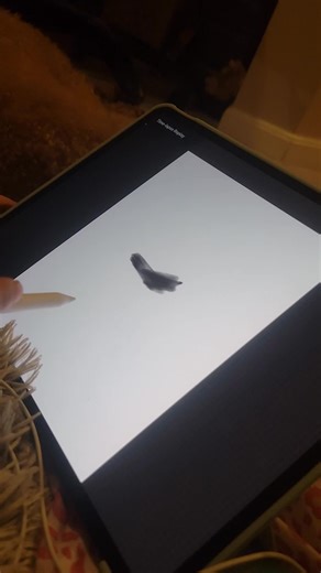 First Drawing on iPad: A Beginner's Art Journey