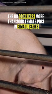 32 reactions · 14 shares | Whether they are labeled organic,...