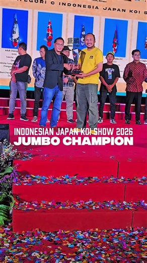 Ini akhir perjalanan ikan koi lokal Sabikoyo, terima kasih telah menjadi yang terbaik #koi #ikankoi