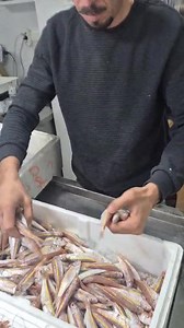 14K views · 144 reactions |  Karagöz Balıkçılık’ta Taptaze Lezzetler Sofranıza! Denizden sofranıza uzanan tazeliğiyle Karagöz Balıkçılık, en lezzetli balıkları sizlerle buluşturuyor! Her gün özenle seçilen, taptaze deniz ürünleriyle sofralarınıza sağlık, lezzet ve doğallık katıyoruz. Uğrayın, farkı tazeliğinde hissedin!  Karagöz Balıkçılık  +90 534 636 44 69 流 “Tazelik bizim işimiz, lezzet denizden gelir!” | Sovtna Gazetesi | Facebook