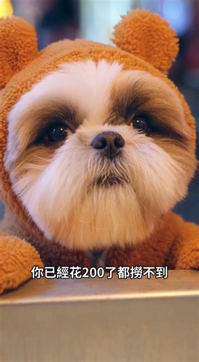 #fffffffffffyyyyyyyyyyypppppppppppp #寵物 #ai #搞笑 #狗狗