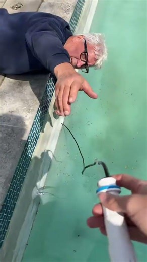 Grosse Pointe pool opening and installing brand new lights... sweeeettt