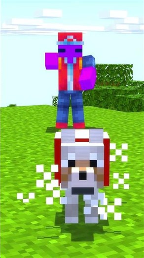 Minecraft Shiny