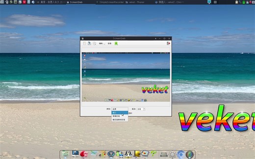 电脑截屏软件推荐ScreenGrab