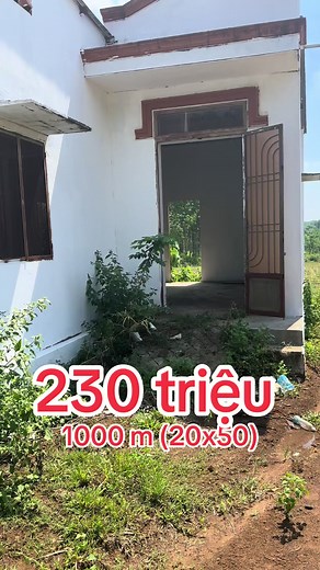 Đất thanh lí giá rẻ 1980 trên TikTok