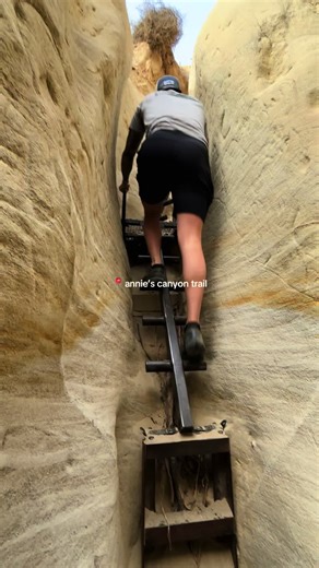 san diego travel guide (@sandiegotravelguide)’s videos with original sound - san diego travel guide