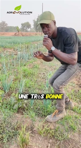 L’association parfaite pour multiplier tes revenus