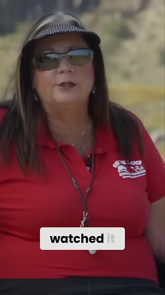 Border collie magic herding ducks to sheep!