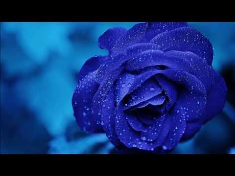 ♪セカンド・ロマンス/倉本裕基