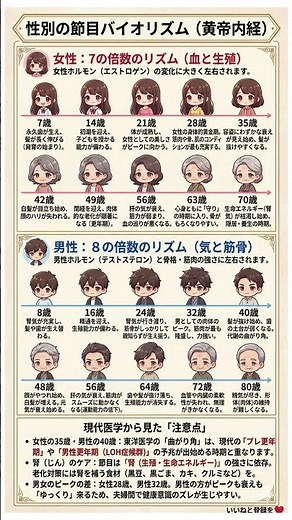 一生の健康をハックせよ！女性7年・男性8年周期の「性別バイオリズム」最適化ガイド。曲がり角を見極め、腎を補う食材でシステムを再起動する方法